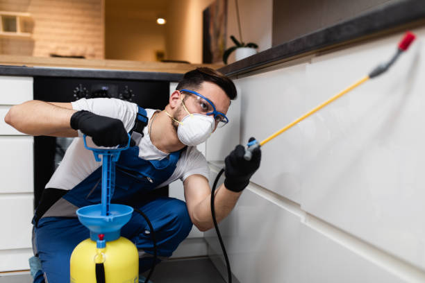 Best Commercial Pest Control Services  in New Johnsonville, TN