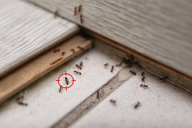 Best Pest Control for Restaurants  in New Johnsonville, TN