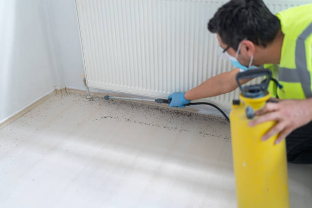 Best Local Pest Control Services  in New Johnsonville, TN